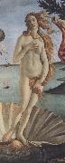 Sandro Botticelli, The Birth of Venus (mk36)